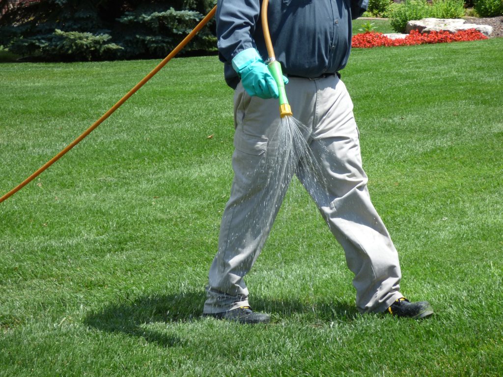 liquid aeration on lawn